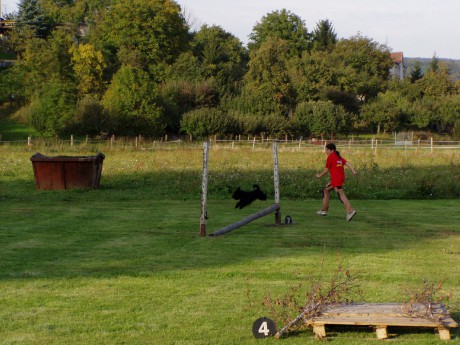 http://www.artvil.estranky.cz/img/mid/511/agility-cross-v..jpg